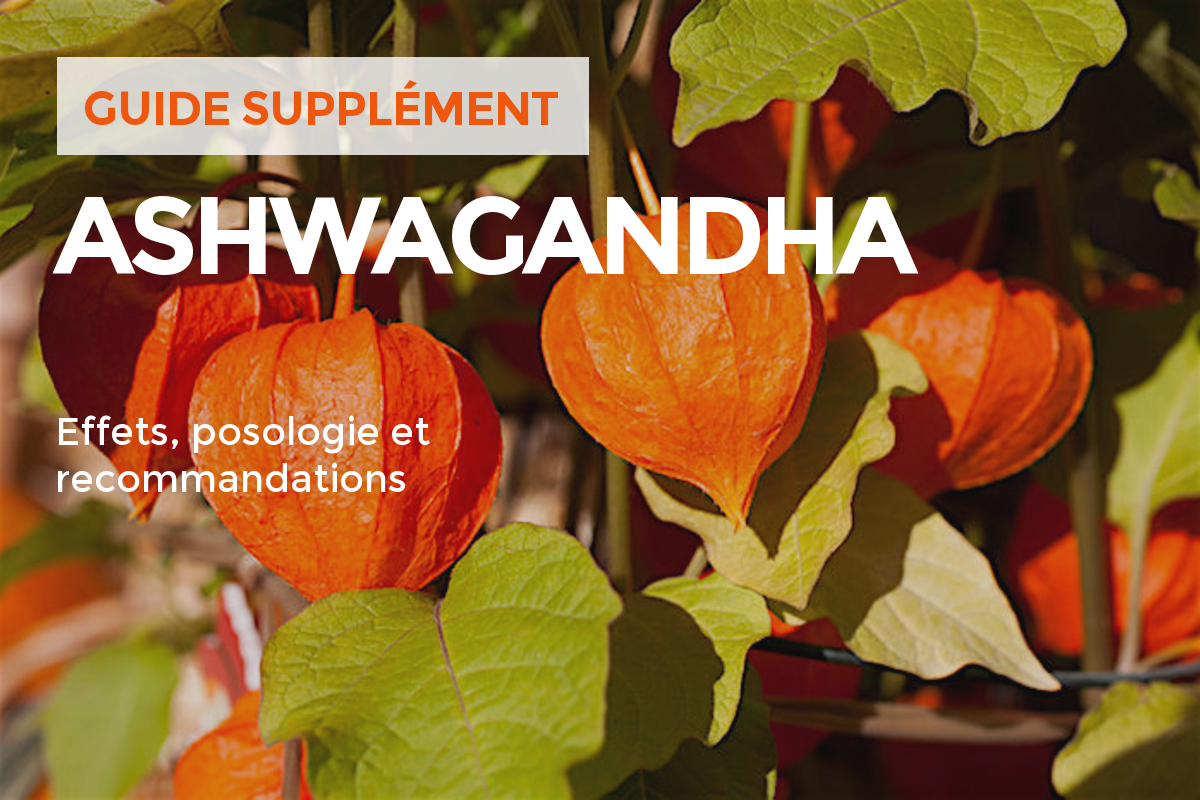 [Supplément] Ashwagandha Strong Academy