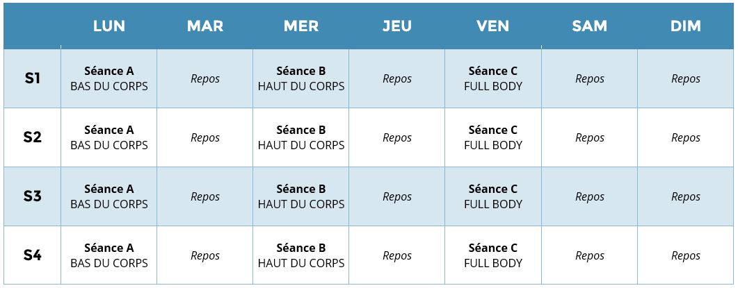 Programme Musculation 5 Jours Par Semaine Pdf
