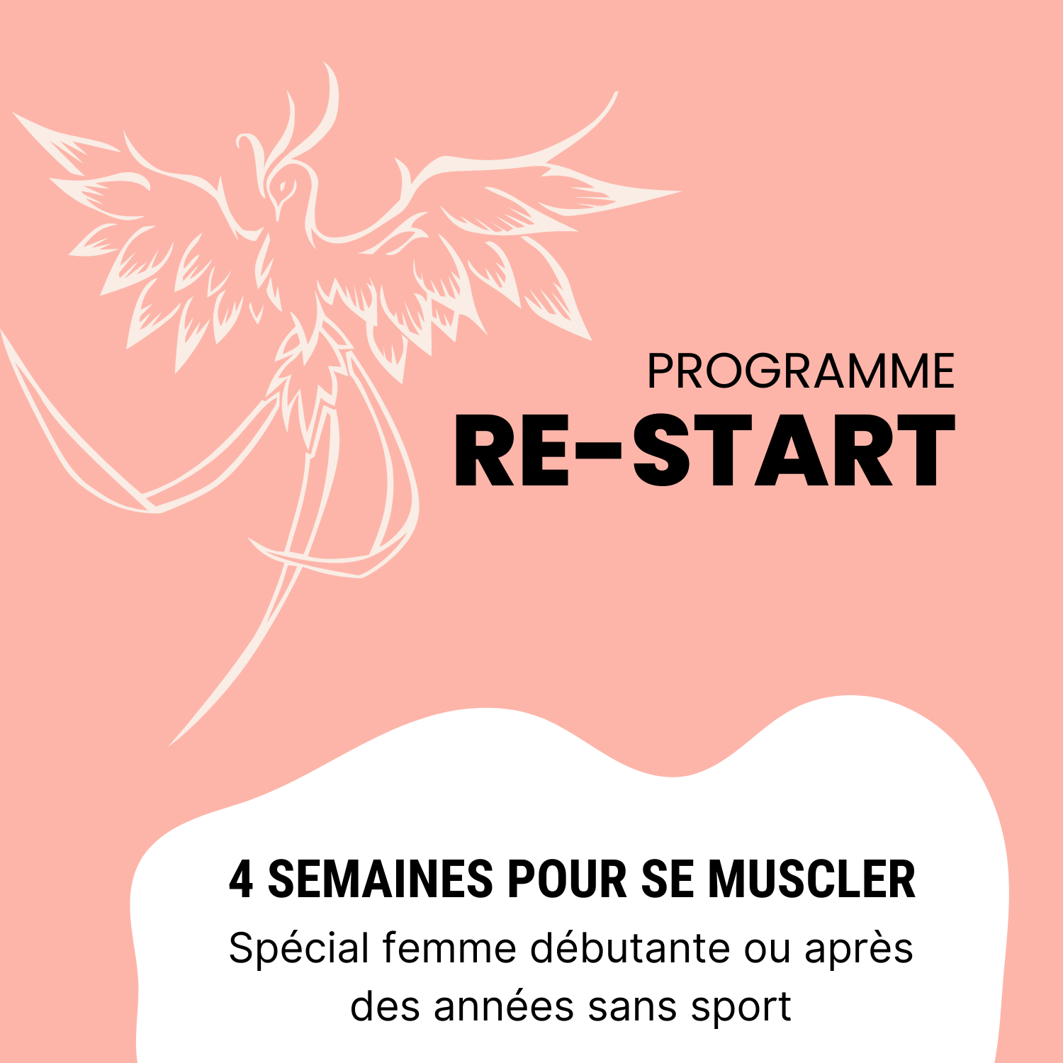 Programme de musculation pour femme à la maison - Niveau débutante - Strong  Academy